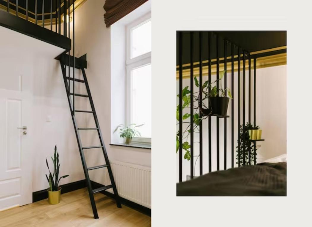 Apartment Studencka Old Town Krakau